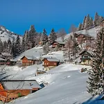 Jungfrau A D Ledi-1 By Interhome * Wengen