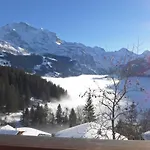 Jungfrau A D Ledi-1 By Interhome Apartment Wengen