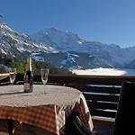 Jungfrau A D Ledi-1 By Interhome * Wengen