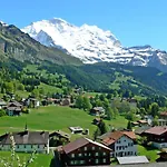 Apartment Jungfrau A D Ledi-1 By Interhome