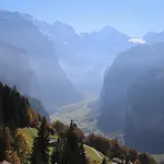 Jungfrau A D Ledi-1 By Interhome Apartment Wengen