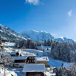 Jungfrau A D Ledi-1 By Interhome Apartment