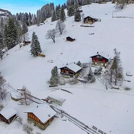 Jungfrau An Der Ledi-1 By Interhome 公寓