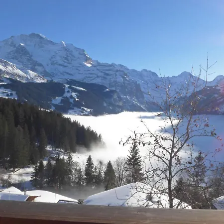 Jungfrau A D Ledi-1 By Interhome Apartment Wengen