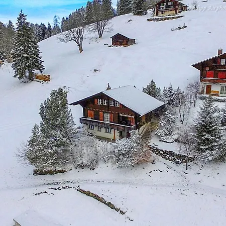 Apartment Jungfrau A D Ledi-1 By Interhome *