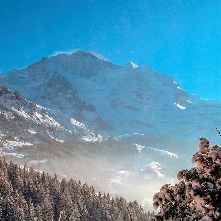 公寓 Jungfrau An Der Ledi-1 By Interhome