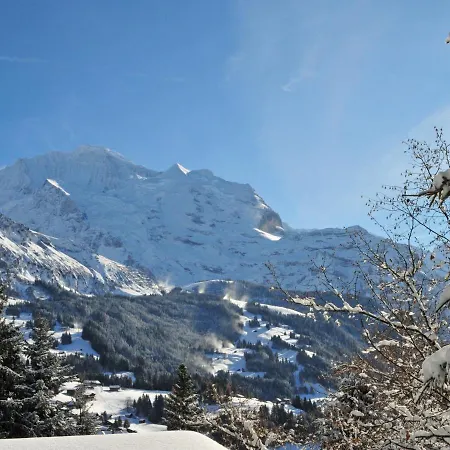 Jungfrau A D Ledi-1 By Interhome Apartment *