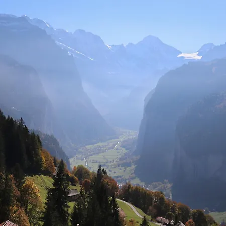 Jungfrau A D Ledi-1 By Interhome Apartment Wengen