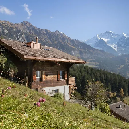 Apartment Jungfrau A D Ledi-1 By Interhome