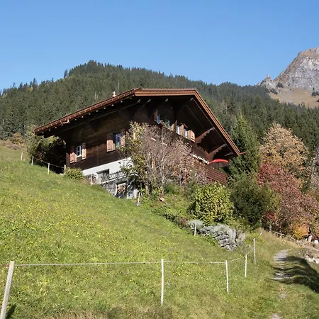 Apartment Jungfrau A D Ledi-1 By Interhome Wengen