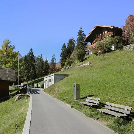 Apartment Jungfrau A D Ledi-1 By Interhome Wengen