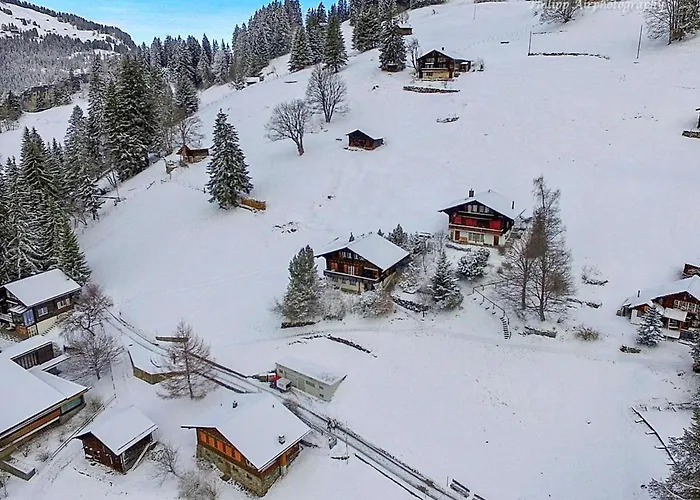 Jungfrau A D Ledi-1 By Interhome アパート