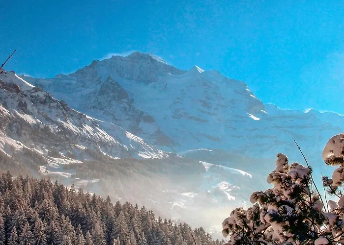Apartmán Jungfrau A D Ledi-1 By Interhome