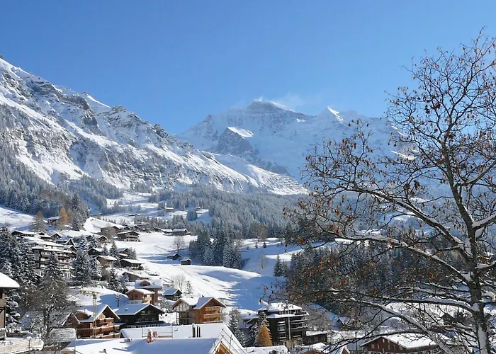 Jungfrau A D Ledi-1 By Interhome Wengen