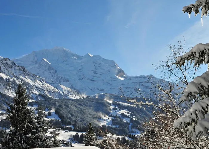 Jungfrau A D Ledi-1 By Interhome Apartmán *