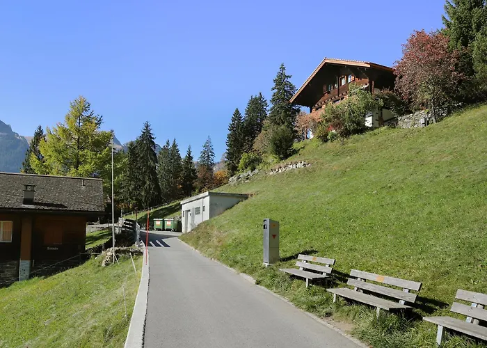 Apartmán Jungfrau A D Ledi-1 By Interhome Wengen