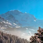 Appartamento Jungfrau A D Ledi-1 By Interhome