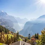 Appartamento Jungfrau A D Ledi-1 By Interhome Wengen