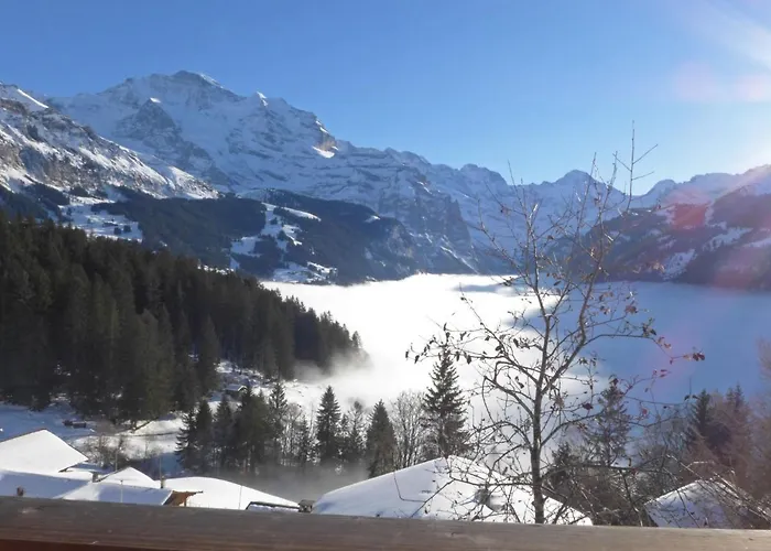 Jungfrau A D Ledi-1 By Interhome Apartament Wengen