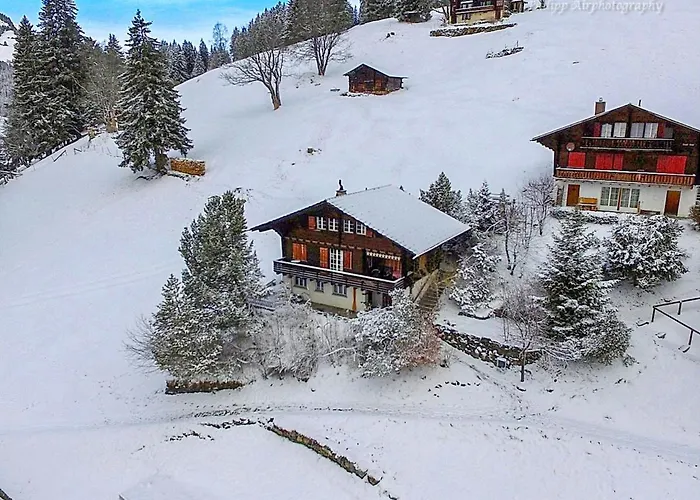 Apartament Jungfrau A D Ledi-1 By Interhome *