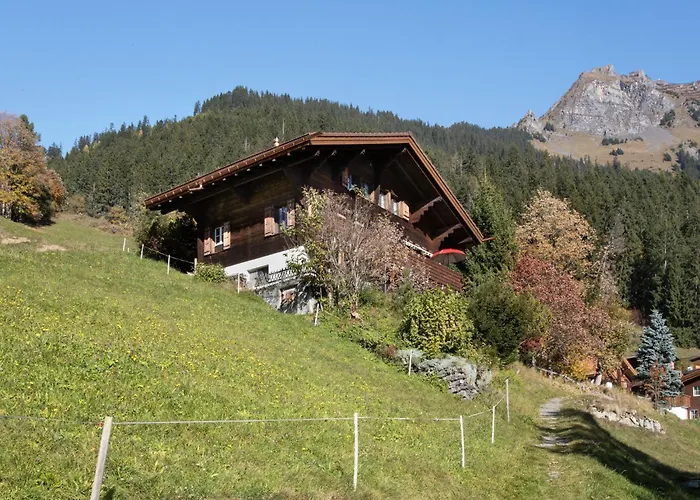 Apartament Jungfrau A D Ledi-1 By Interhome Wengen